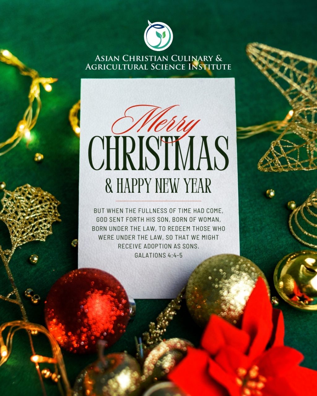 Instagram post from theaccasi. This post is in position 1.