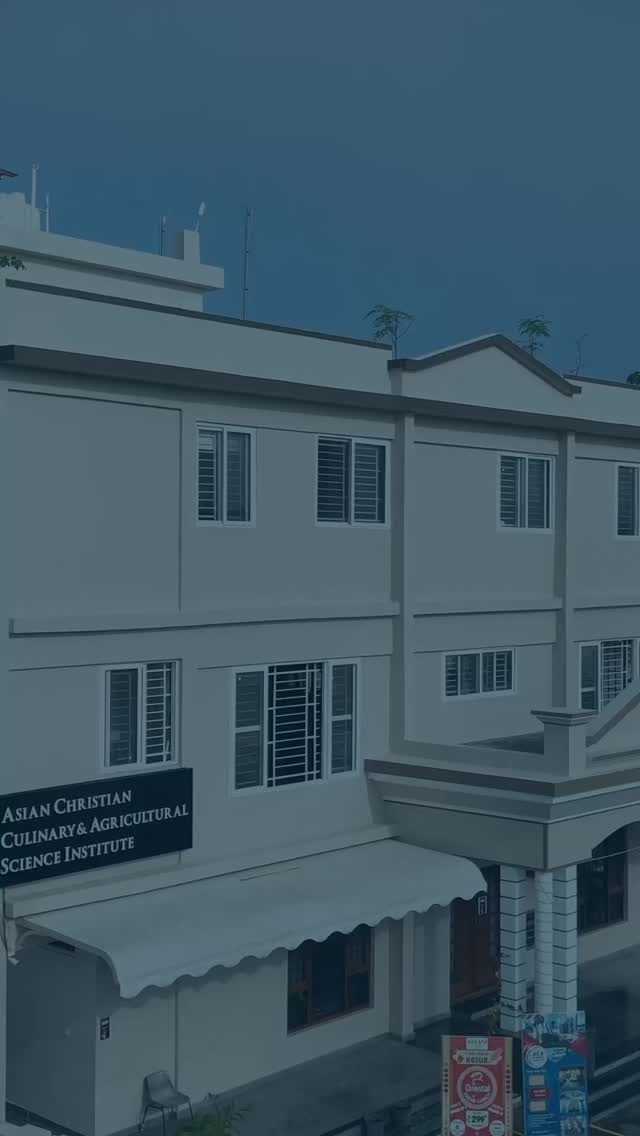 Instagram post from theaccasi. This post is in position 2.