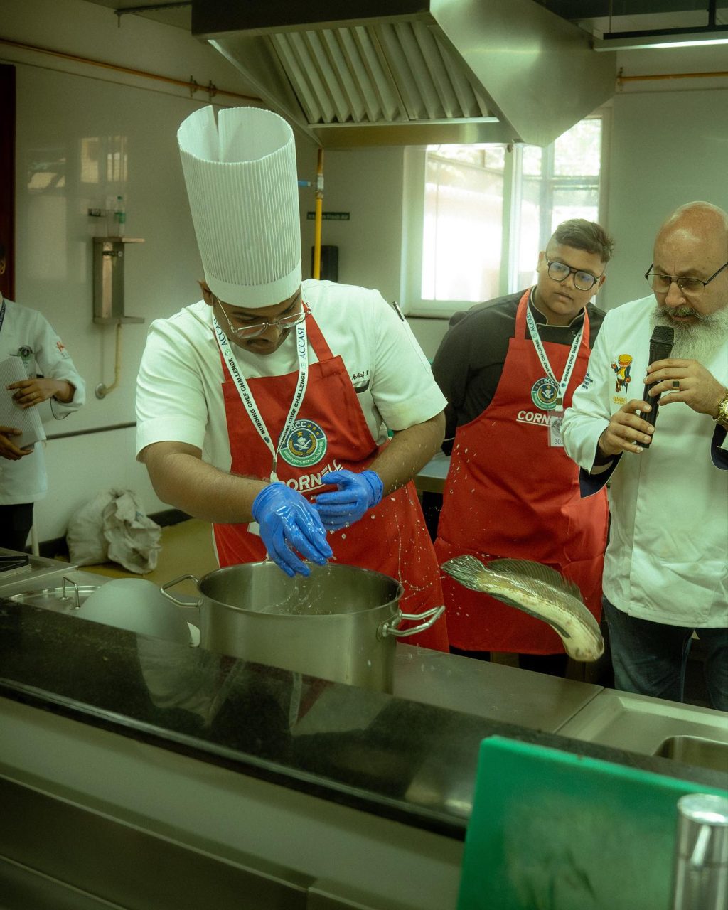 Instagram post from theaccasi. This post is in position 6.